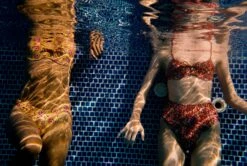 The Rose Bottom - Flamenco -Cheap Tuke Bazaar Store pia1193 435